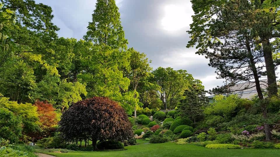 Cleveland Botanical Garden_greenspace
