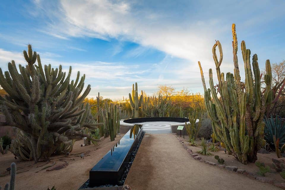 Desert Botanical Garden_greenspace