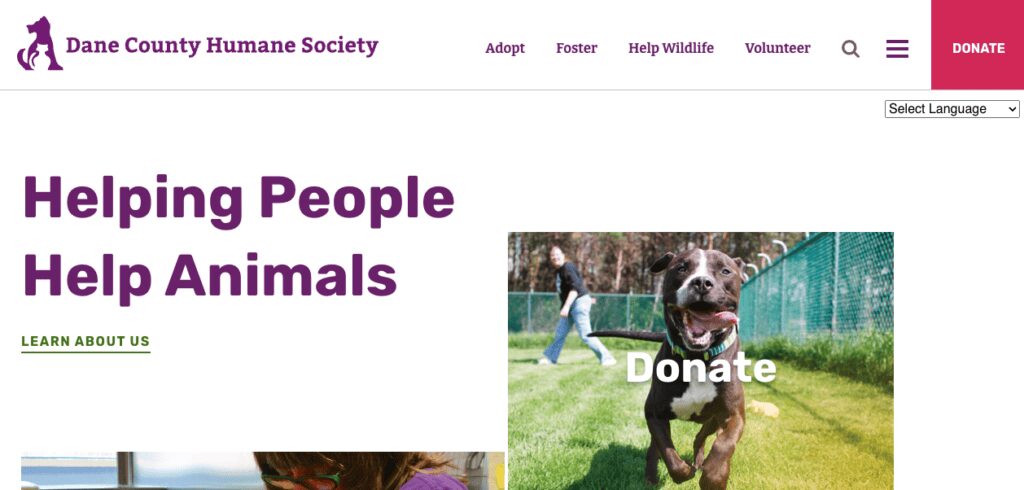 12 Inspiring Madison Nonprofits Leading Social Innovation 7 madison nonprofits