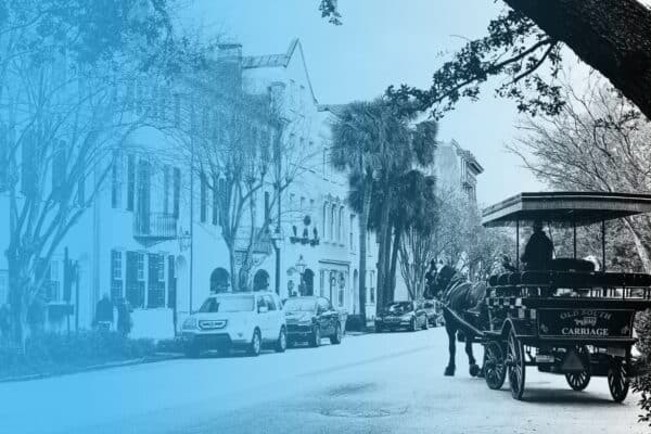 charleston nonprofits