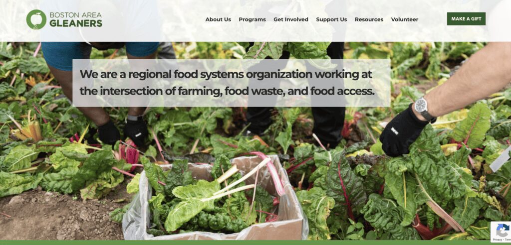 15 Amazing Boston Nonprofits Championing Change 9 boston nonprofits