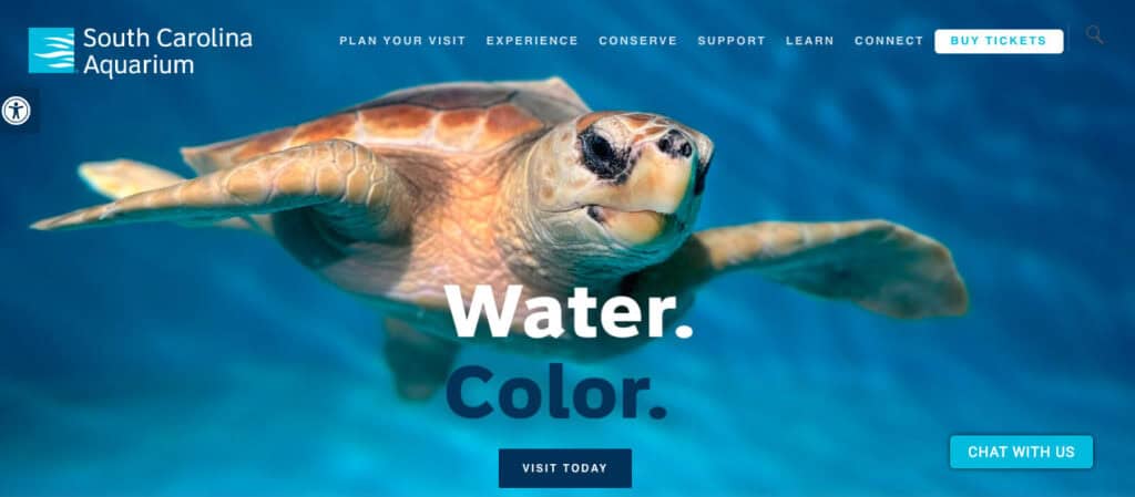 14 Inspiring Charleston Nonprofits Creating Change 14 charleston nonprofits