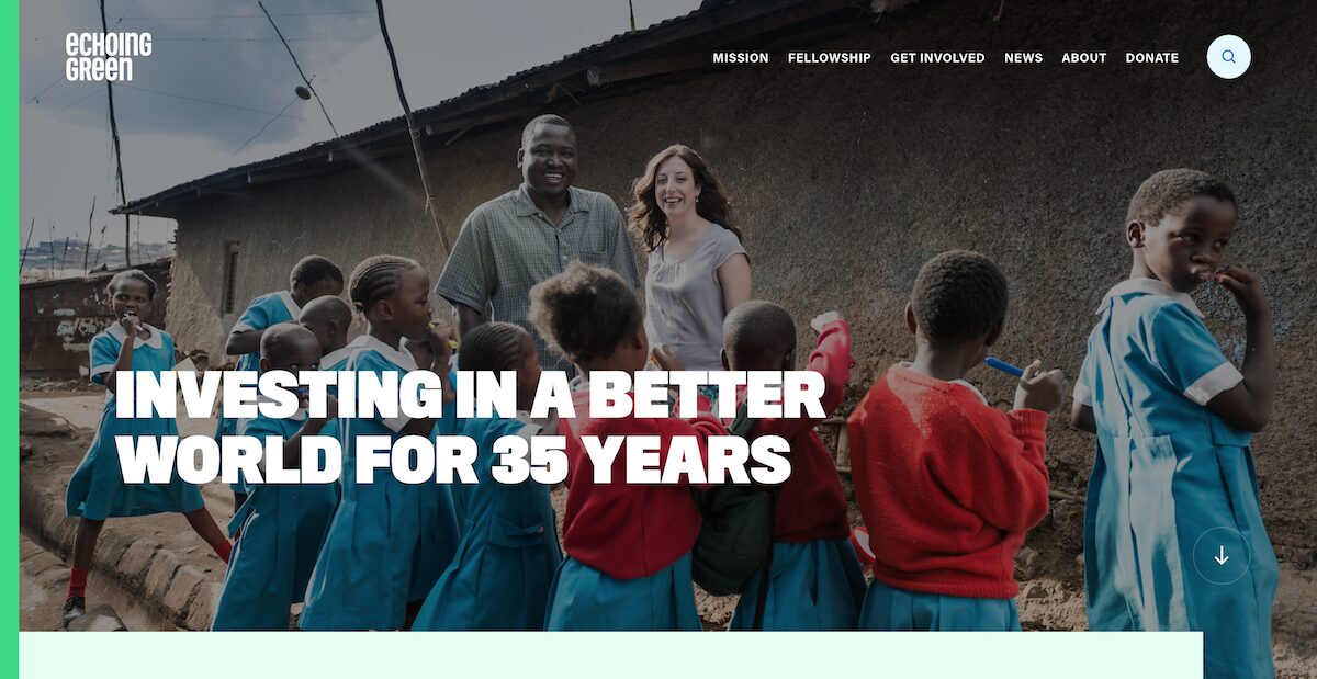 34 Amazing Nonprofit Website Designs 32 Echoing Green Funding Social Entrepreneurship Innovation 1