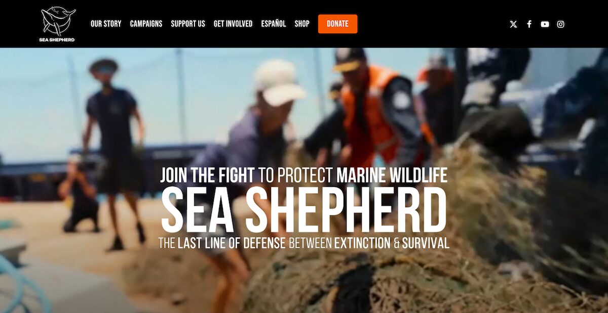 34 Amazing Nonprofit Website Designs 19 Sea-Shepherd-Conservation-Society