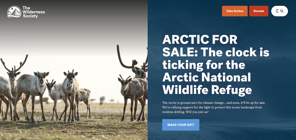 34 Amazing Nonprofit Website Designs 7 The-Wilderness-Society