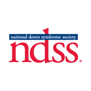 transparent ndss logo