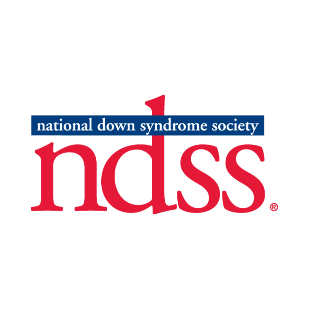 Nonprofit Credit Card 16 transparent ndss logo