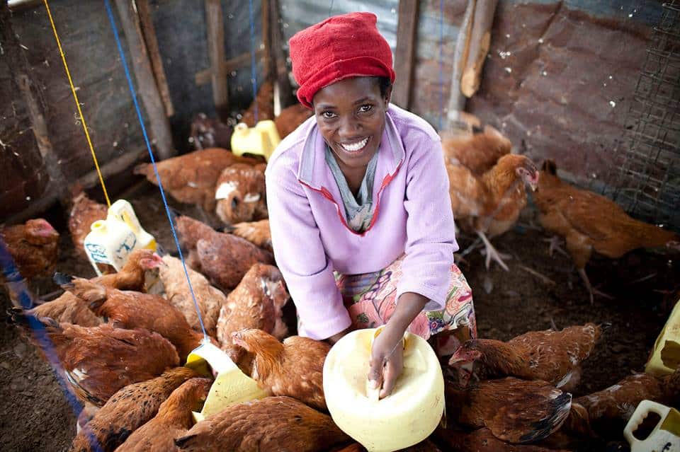 10 Impactful Food Organizations Tackling Hunger 5 bread for the world