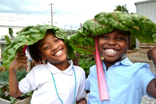 10 Impactful Food Organizations Tackling Hunger 6 why hunger