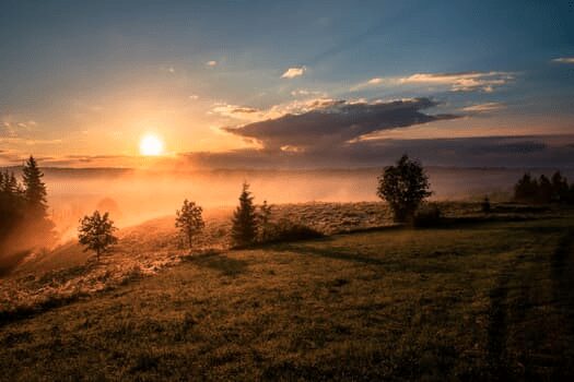 7 Ventures Leading the Charge on Positive Environmental Change