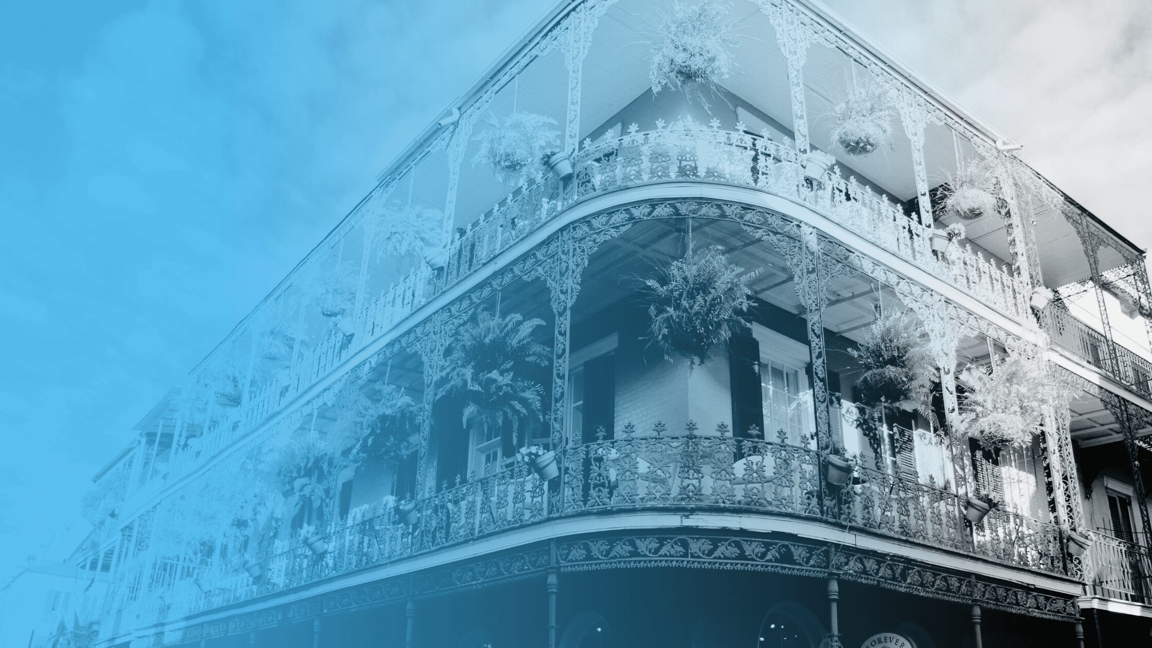 15 New Orleans Nonprofits Pioneering Community Impact