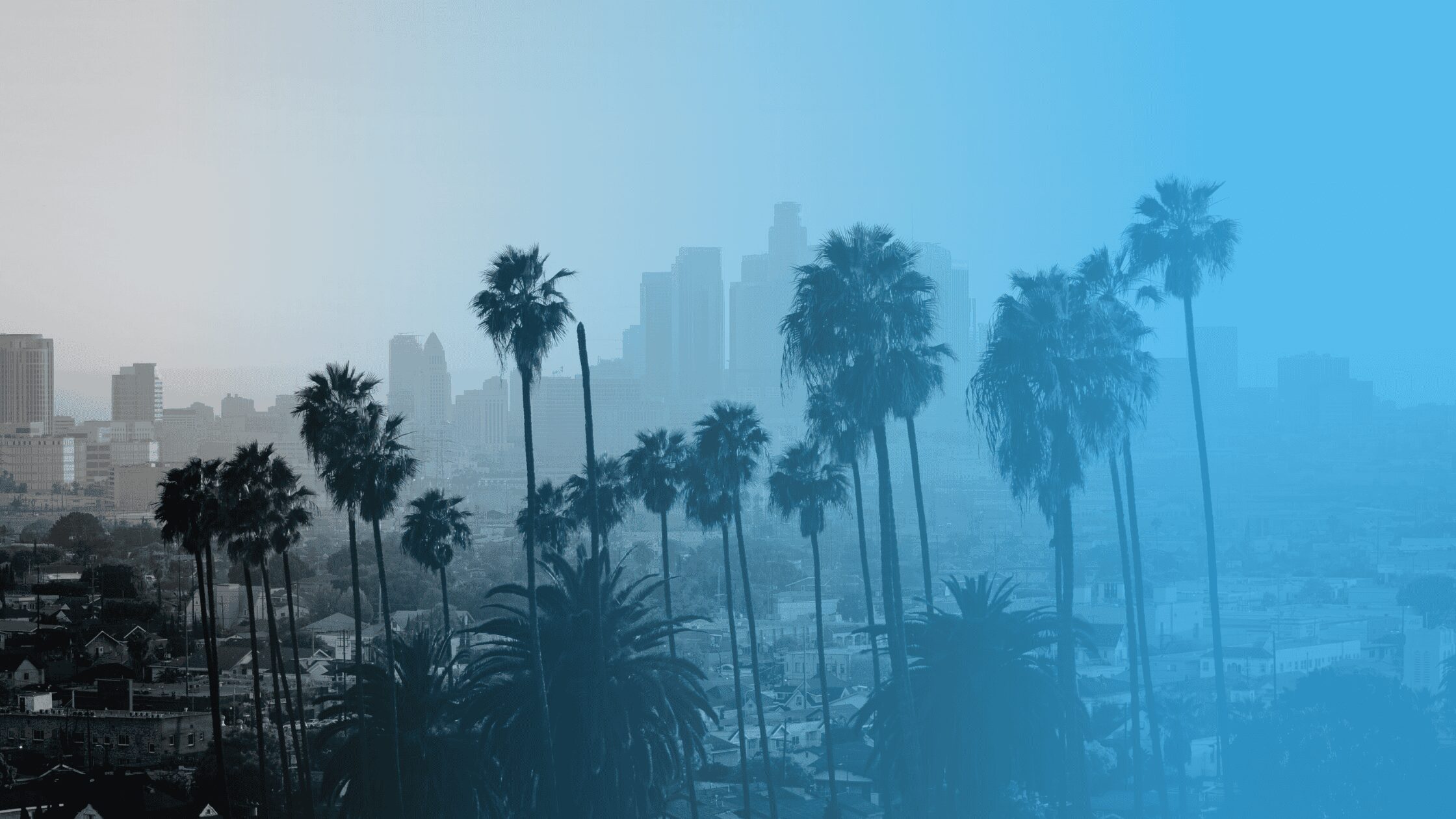 14 Amazing Los Angeles Nonprofits Driving Change