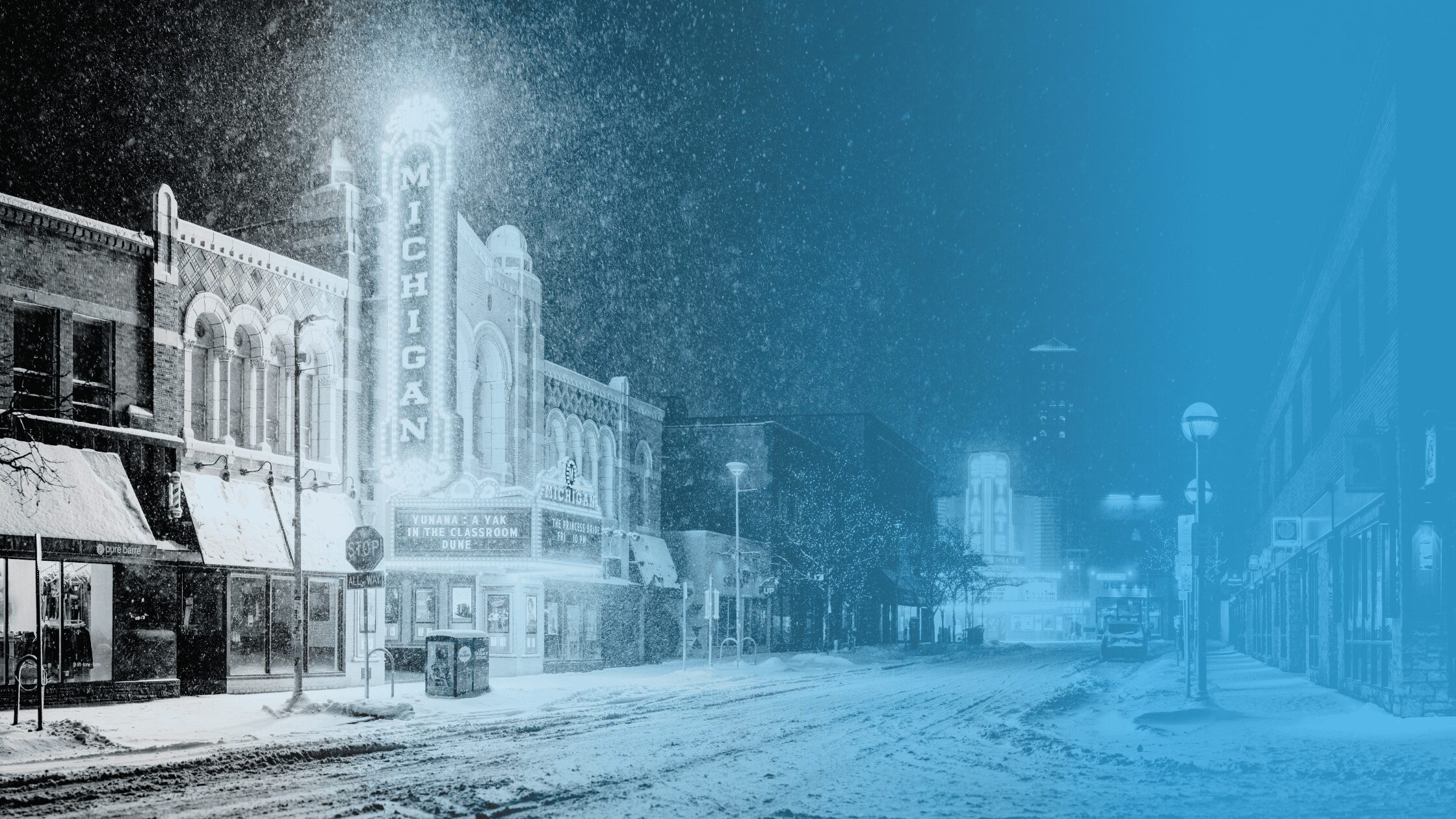 12 Inspiring Ann Arbor Nonprofits Championing Change
