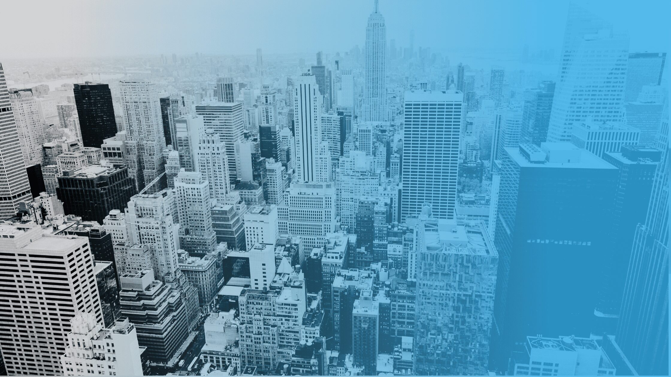 10 Great New York Nonprofits Transforming Lives and Communities