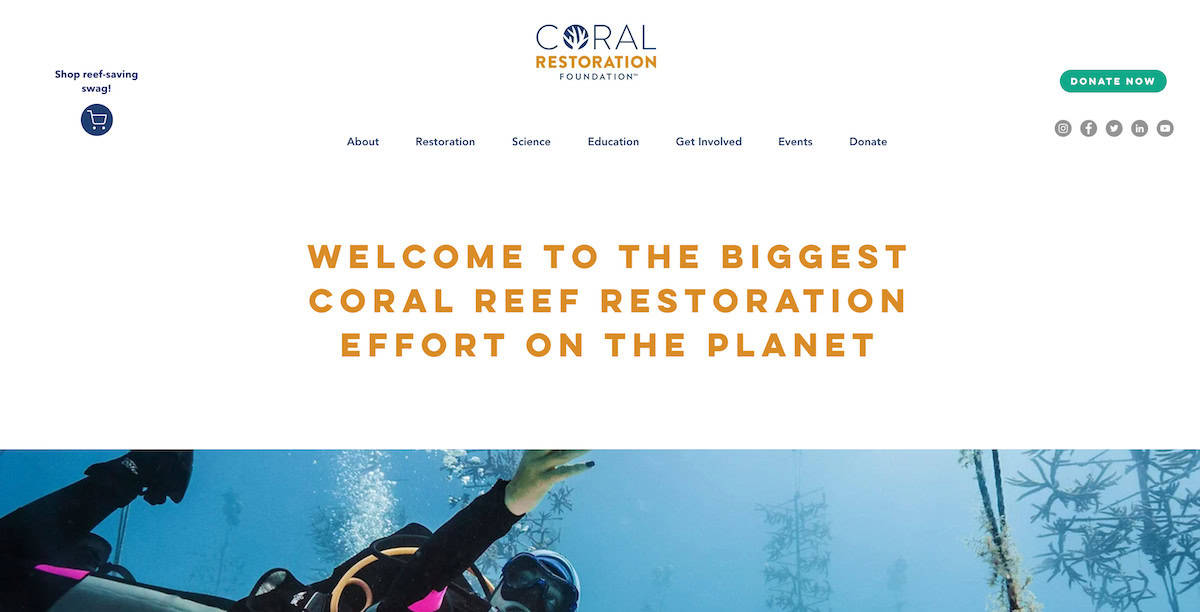 15 Inspiring Ocean Conservation Charities 8 Coral Restoration Foundation