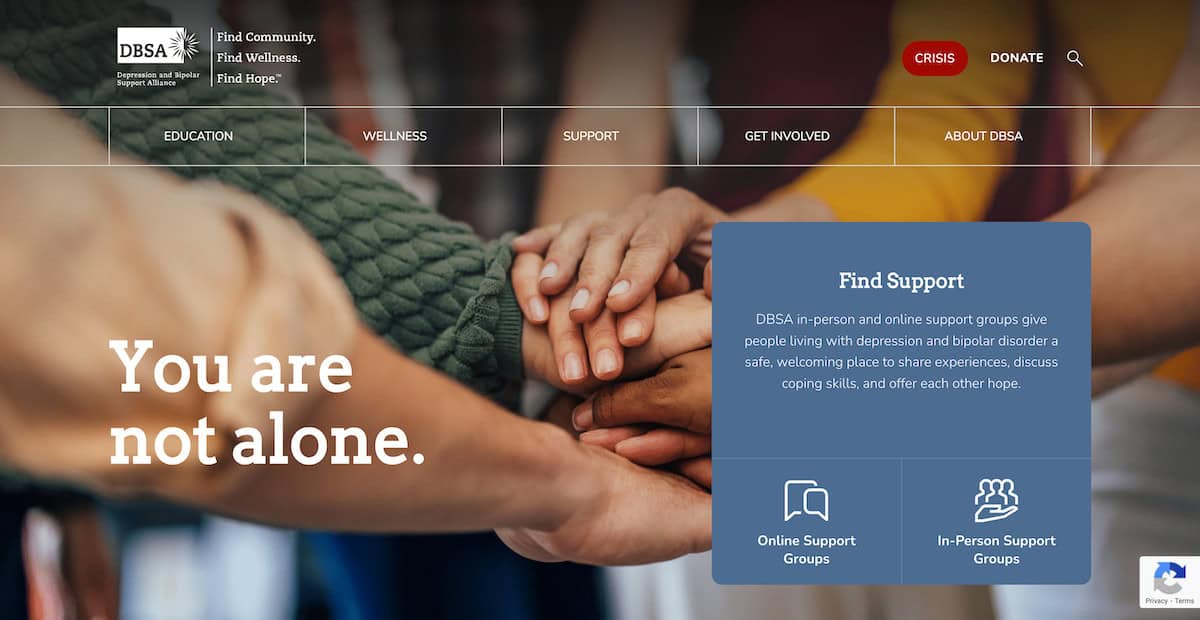 13 Impactful Mental Health Nonprofits Affecting Lives Everyday 8 DBSA-Depression-and-Bipolar-Support-Alliance