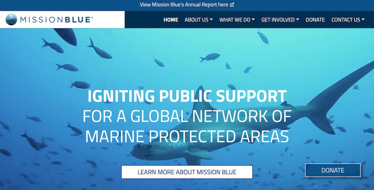 15 Inspiring Ocean Conservation Charities 11 Mission Blue