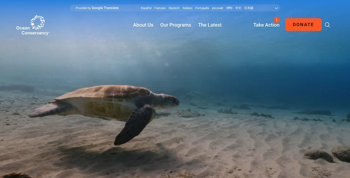 15 Inspiring Ocean Conservation Charities 1 Ocean Conservancy - Ocean Conservation Charities