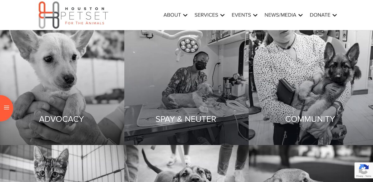 17 Houston Nonprofits Impacting the Local Community 17 Houston-PetSet-Animal-Welfare-Nonprofit-Organization