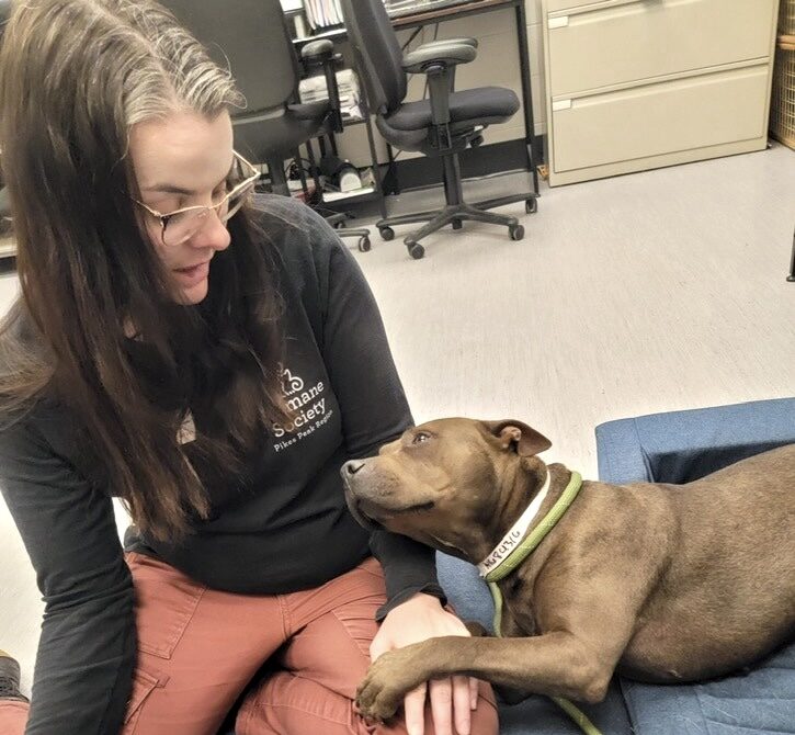 10 Colorado Springs Nonprofits Serving the Community 9 Humane Society of the Pikes Peak Region