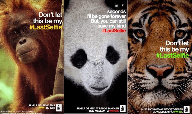 13 Nonprofit Marketing Examples to Inspire Your Strategy 3 LastSelfie WWF snapchat