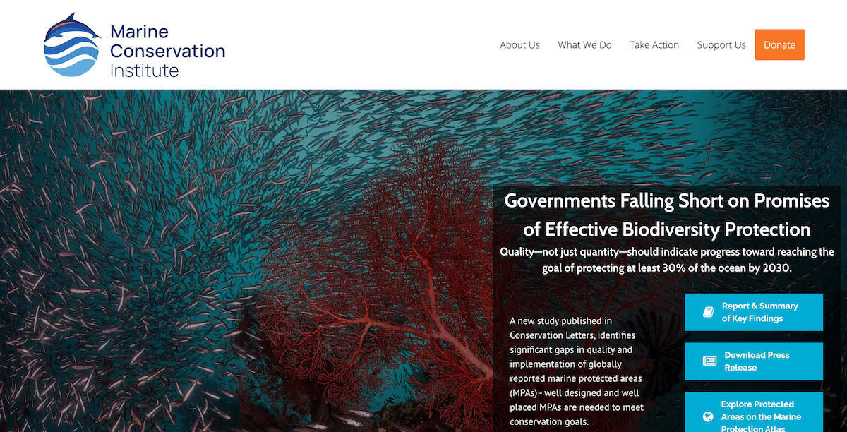 15 Inspiring Ocean Conservation Charities 5 Marine Conservation Institute
