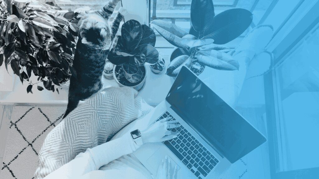 12 Best Nonprofit Software Tools for Every Organization