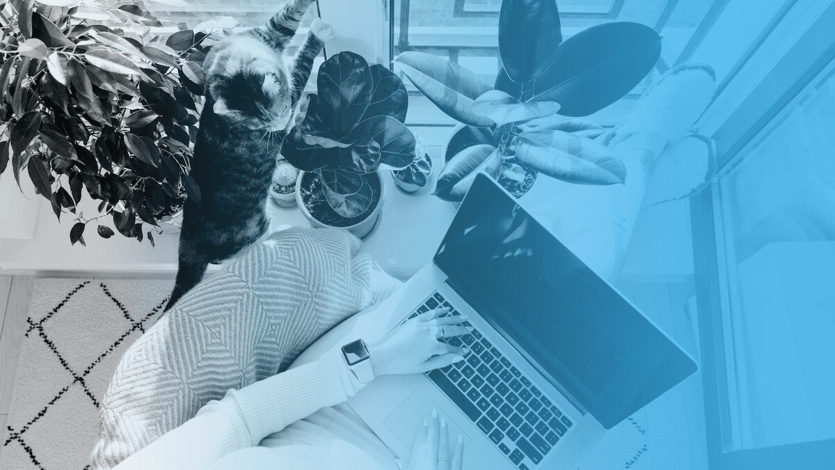 12 Best Nonprofit Software Tools for Every Organization