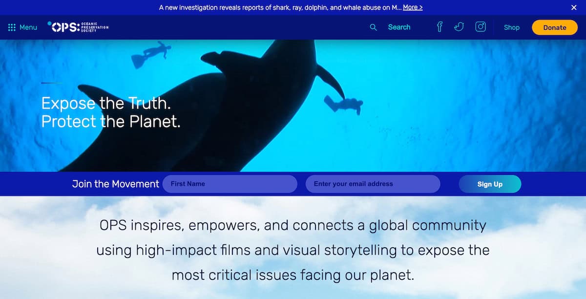 15 Inspiring Ocean Conservation Charities 9 Oceanic Preservation Society (OPS)