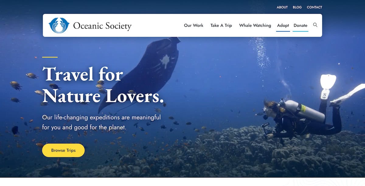 15 Inspiring Ocean Conservation Charities 14 Oceanic Society