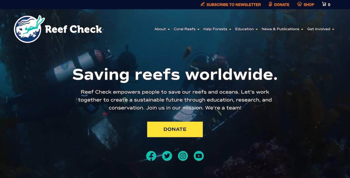 15 Inspiring Ocean Conservation Charities 12 Reef Check