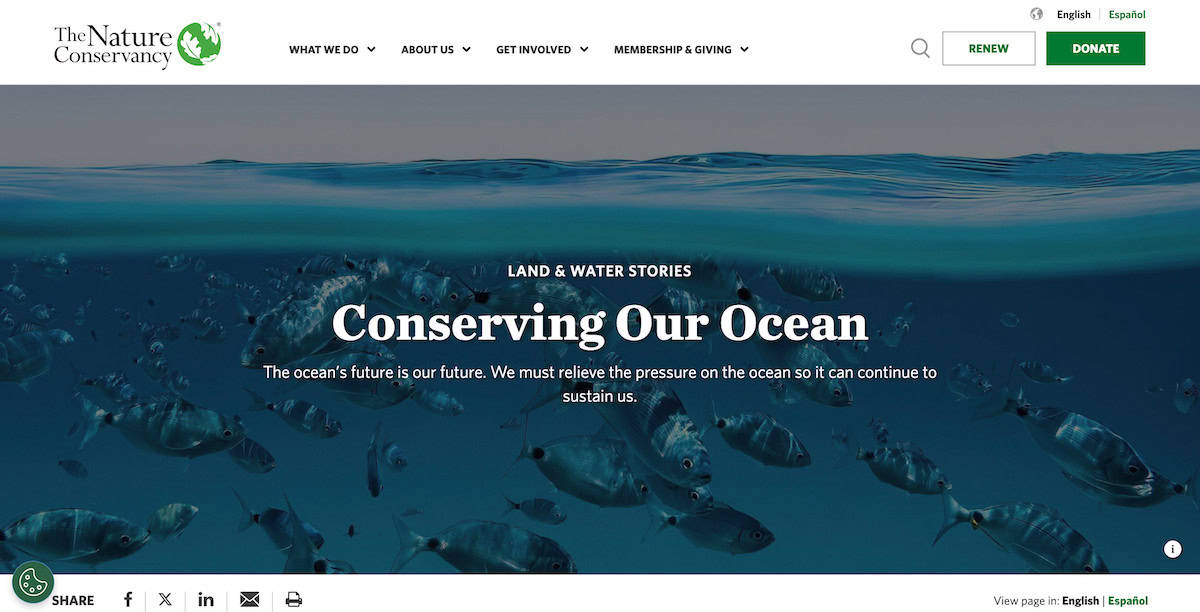 15 Inspiring Ocean Conservation Charities 13 The Nature Conservancy’s Ocean Program