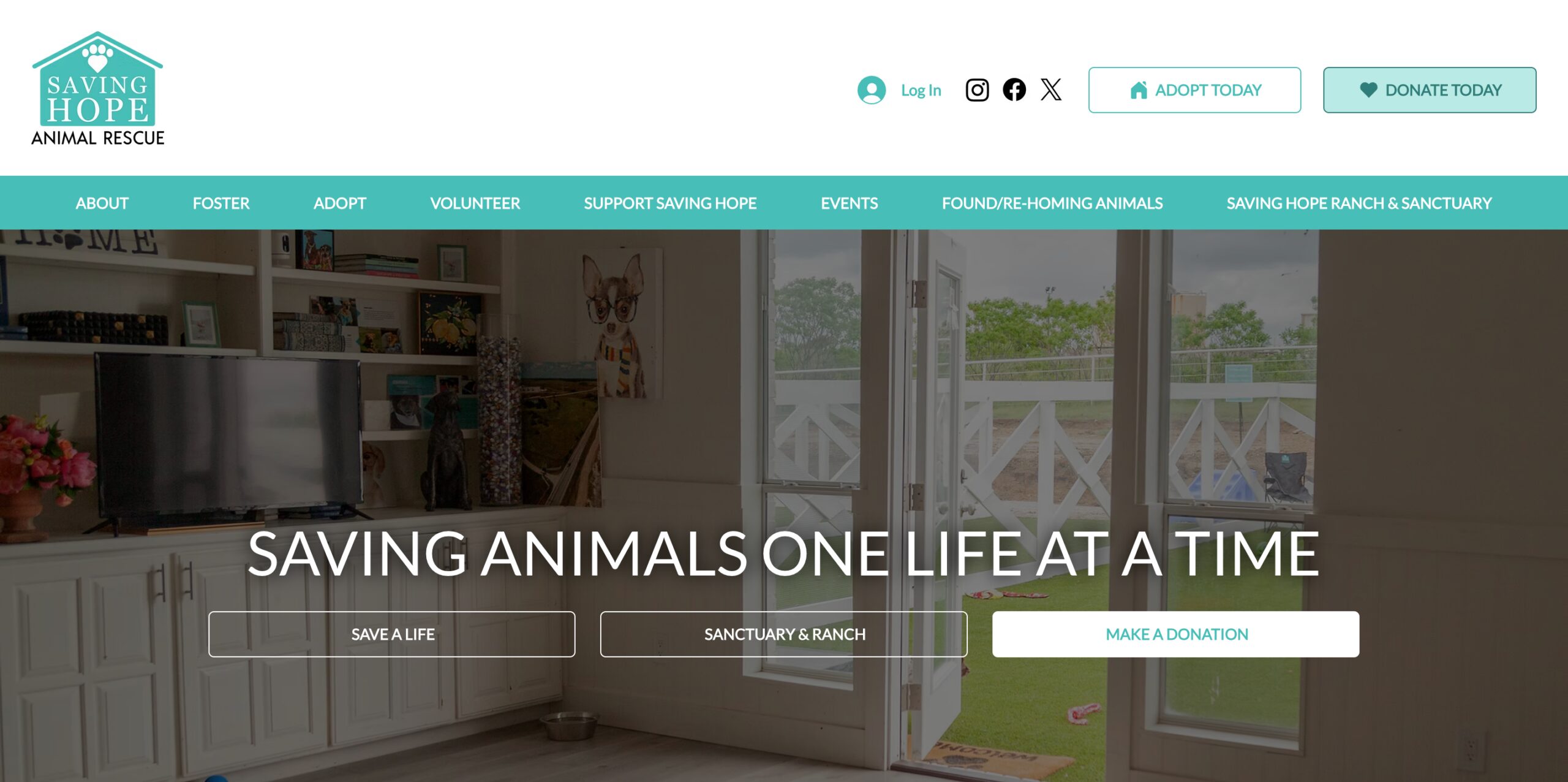 11 Fort Worth Nonprofits Transforming Communities 11 Saving Hope Animal Rescue Fund