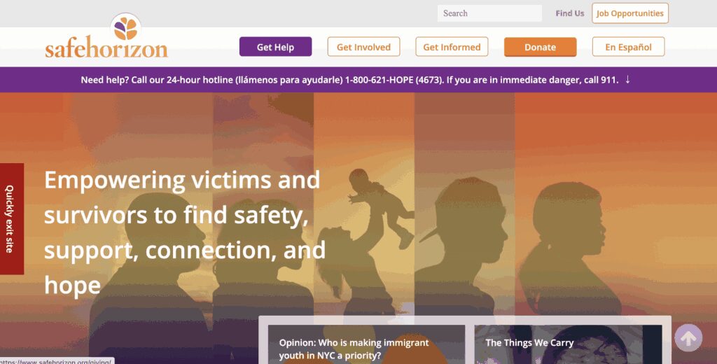 new york nonprofits