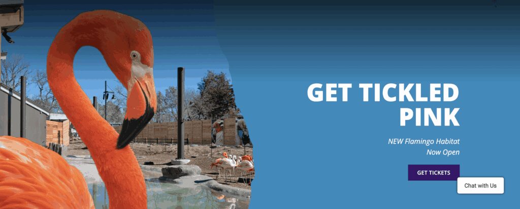 denver nonprofits