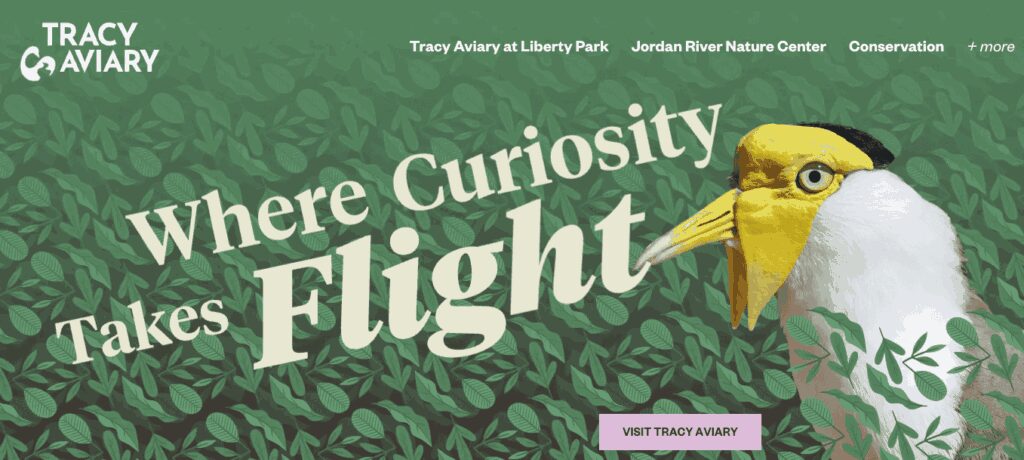 14 Innovative Salt Lake City Nonprofits Shaping the Future 5 salt lake city nonprofits