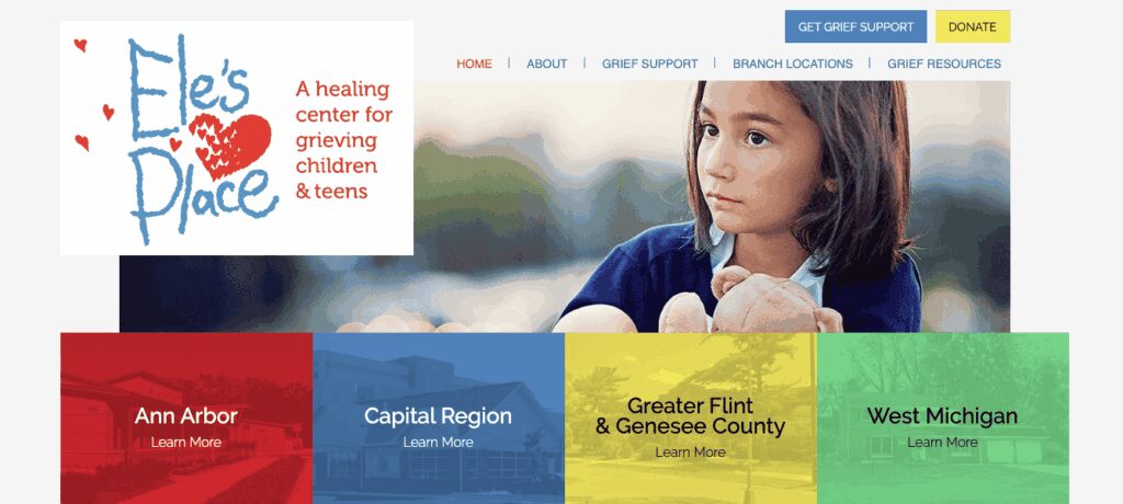 ann arbor nonprofits
