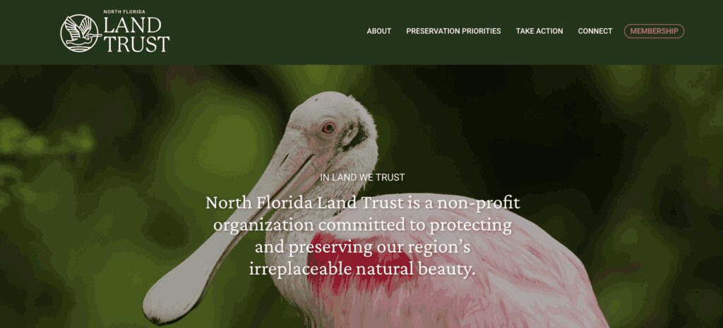15 Great Jacksonville Nonprofits Driving Community Transformation 10 jacksonville nonprofits