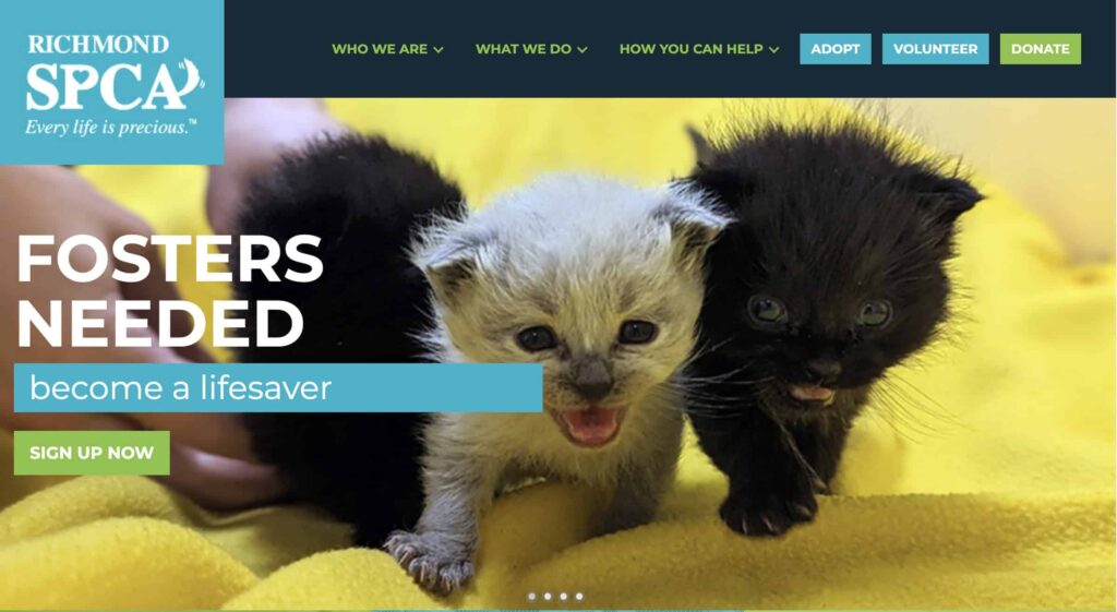 richmond nonprofits