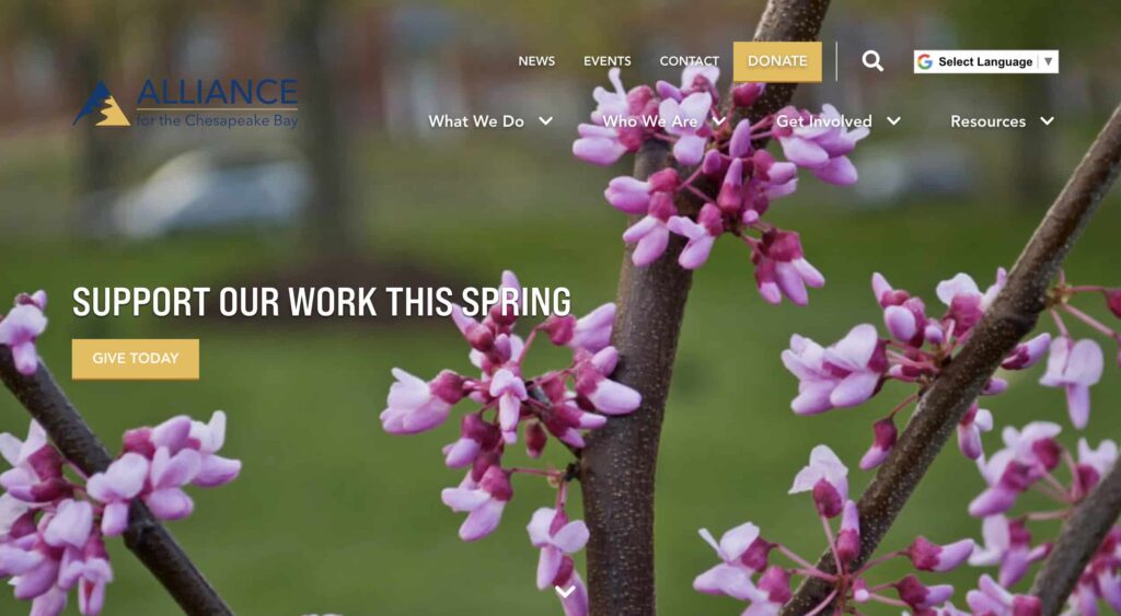 richmond nonprofits