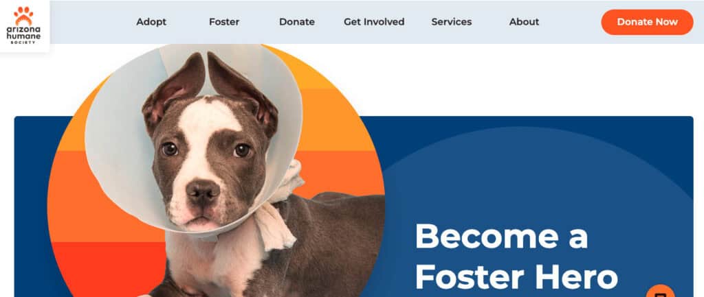 15 Incredible Phoenix Nonprofits Enhancing Lives and Communities 5 phoenix nonprofits