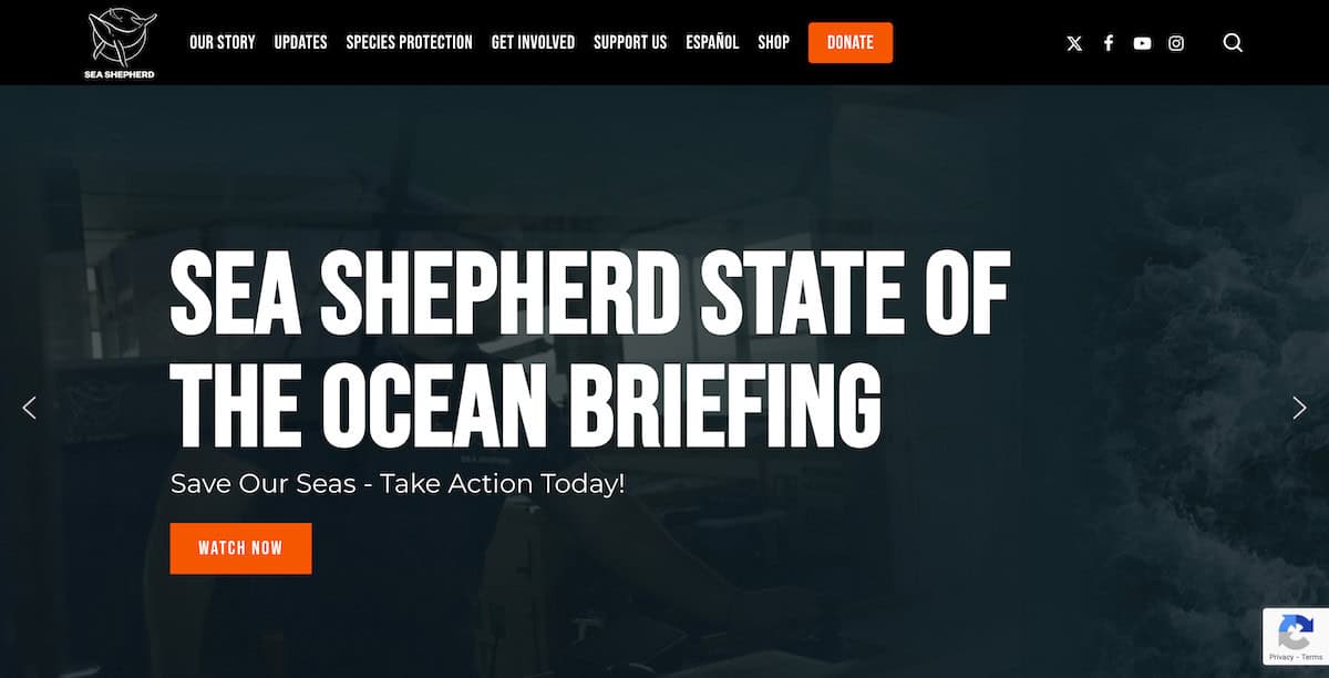15 Inspiring Ocean Conservation Charities 2 Sea Shepherd Conservation Society