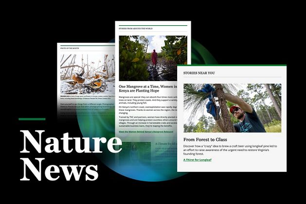 13 Nonprofit Marketing Examples to Inspire Your Strategy 7 The Nature Conservancy’s Targeted Email Marketing