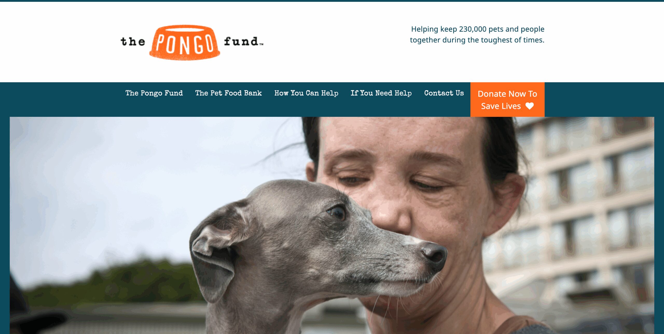 The Pongo Fund