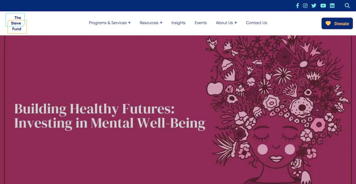 13 Impactful Mental Health Nonprofits Affecting Lives Everyday 12 The-Steve-Fund-Achieving-Equity-in-Mental-Health-The-Steve-Fund