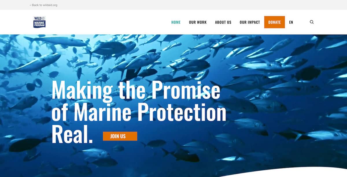 15 Inspiring Ocean Conservation Charities 10 WildAid Marine Program
