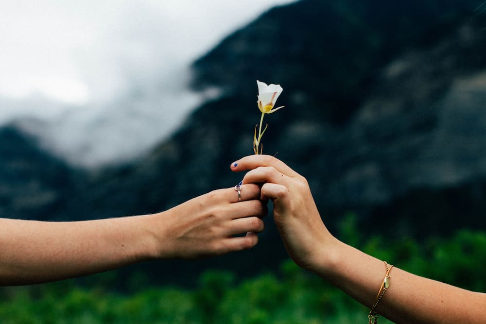 How Guidestar Is Increasing Charitable Giving Through Trust & Transparency