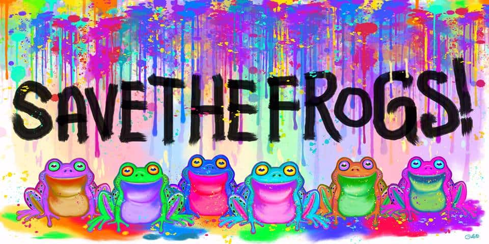 Q&A with Dr. Kerry Kriger The Founder And CEO Of Save The Frogs 3 savethefrogs_2