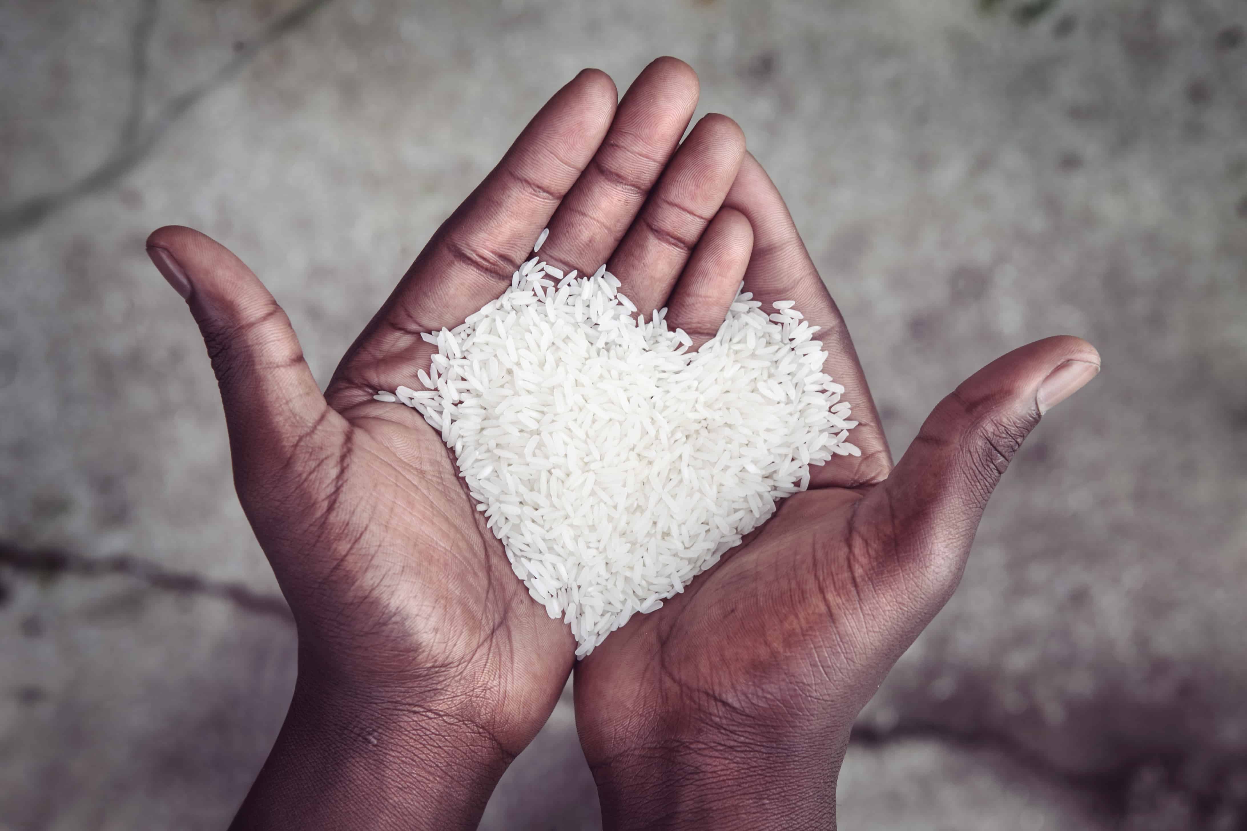 The Rise of the Benefit Corporation and Rethinking the Business Model