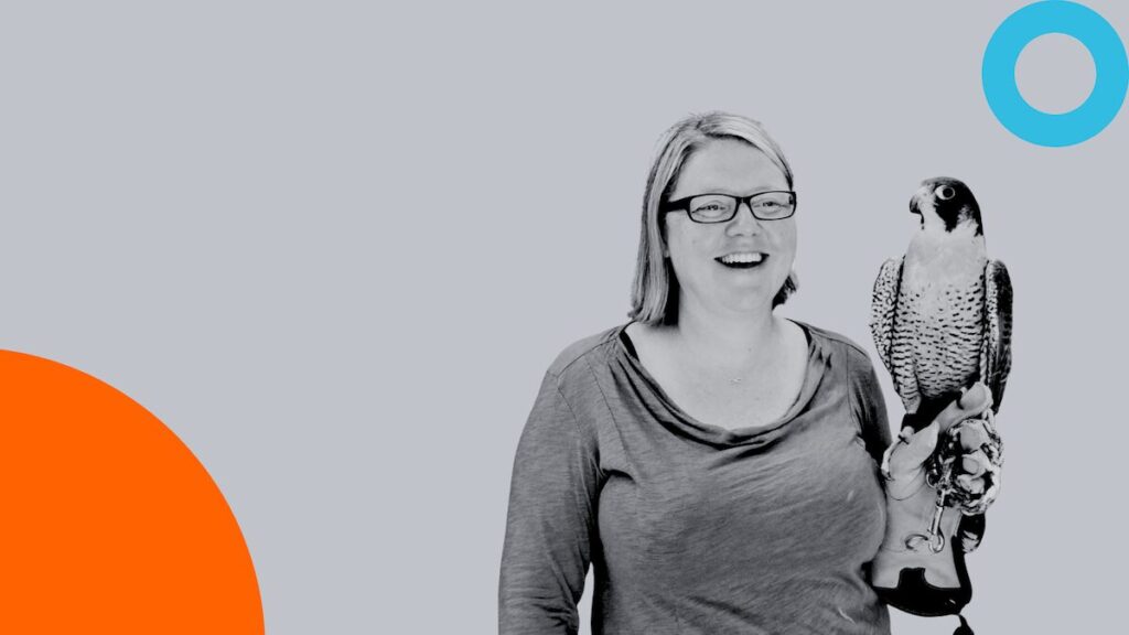 How HawkWatch International Funds 40 Years of Work